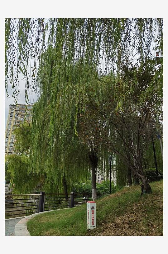 生态清新的城市河畔-众图网