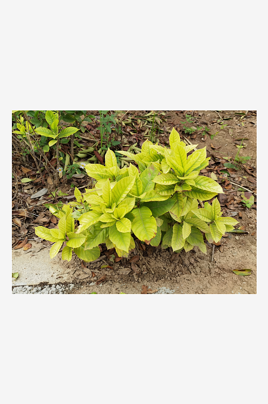 休闲城市户外环境-众图网