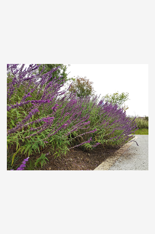 舒适休闲的城市户外-众图网