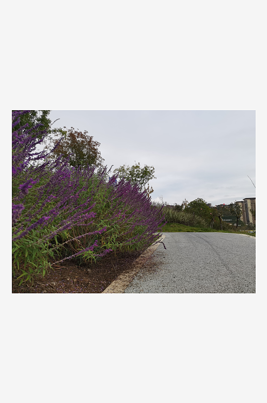 舒适休闲的城市户外-众图网