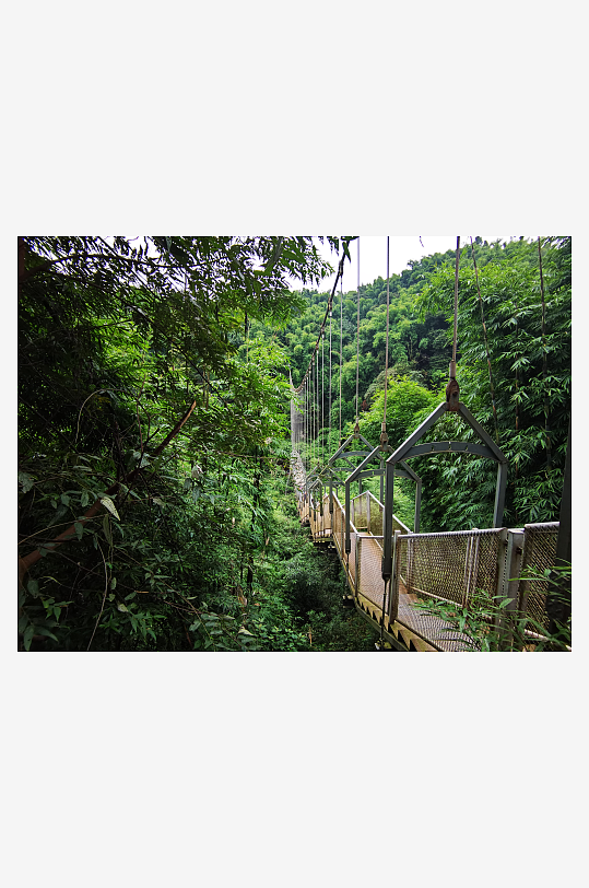 生态清新的自然风光-众图网