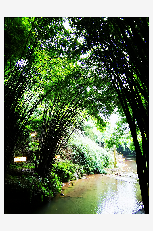 生态清新的自然风光-众图网