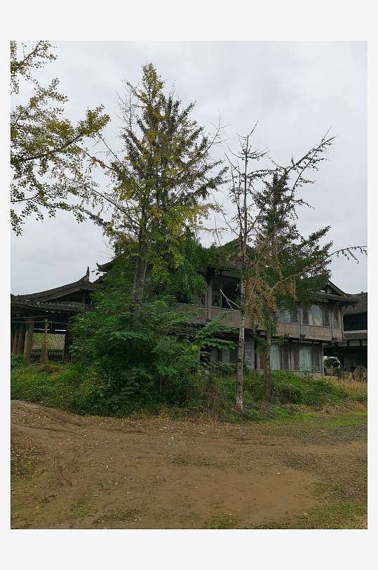 生态清新的自然风光-众图网