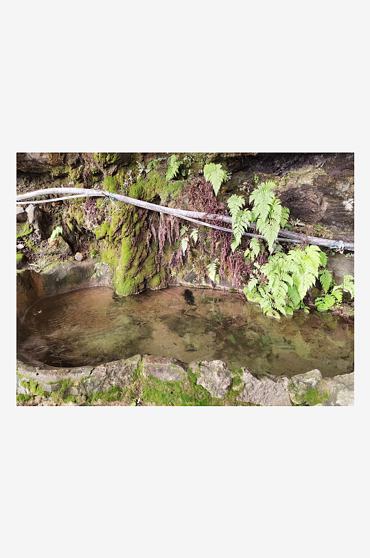 清新舒适的自然风光-众图网