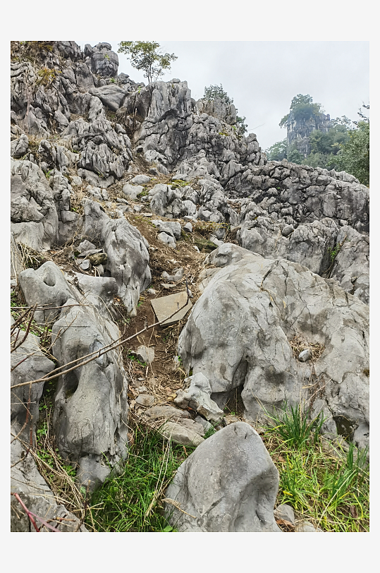 清新舒适的自然风光-众图网