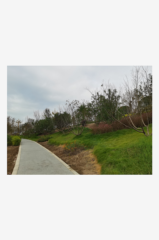 清新舒适的自然风光-众图网