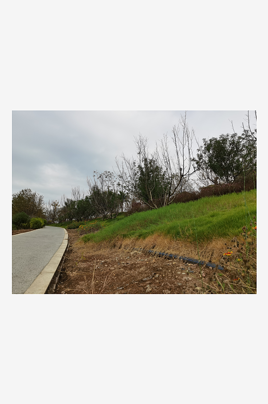 清新舒适的自然风光-众图网