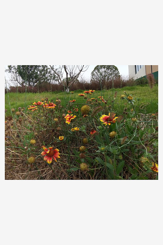 清新舒适的自然风光-众图网