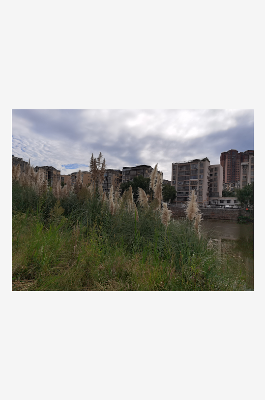 清新舒适的自然风光-众图网