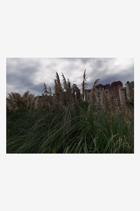 清新舒适的自然风光-众图网