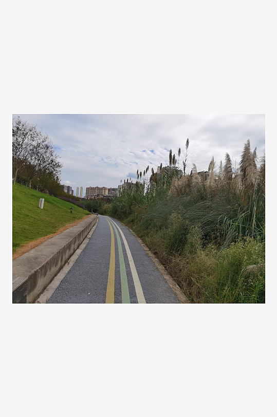 清新舒适的户外环境-众图网