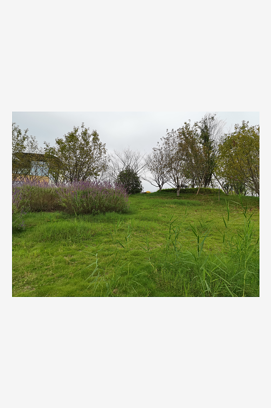 清新舒适的户外环境-众图网