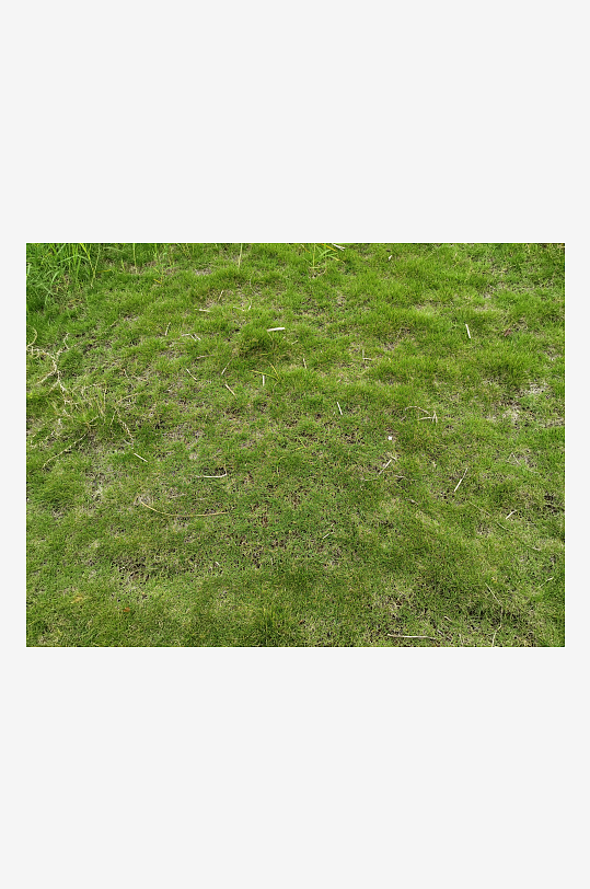 翠绿草坪美化城市环境-众图网