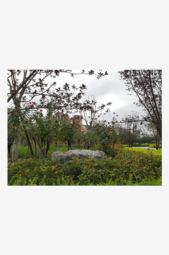 自然清新的城市户外-众图网