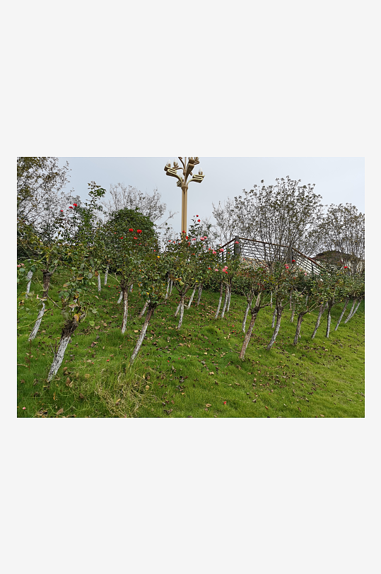 舒适悠闲的城市环境-众图网