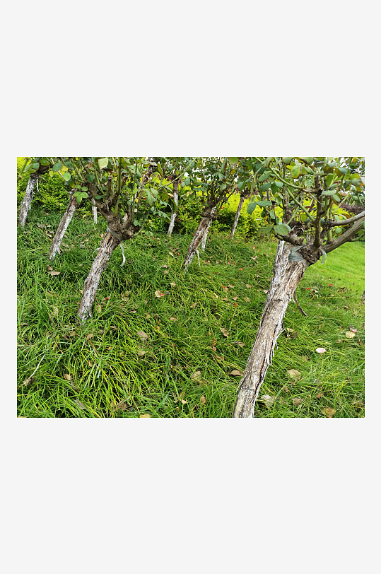 舒适悠闲的城市环境-众图网