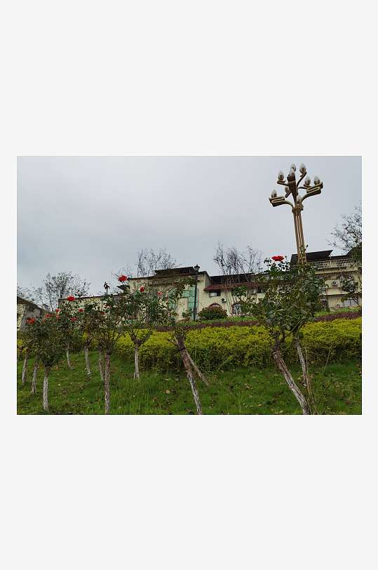 自然清新的城市户外-众图网