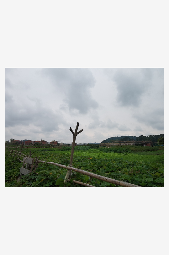 城郊公园休闲生活场所-众图网