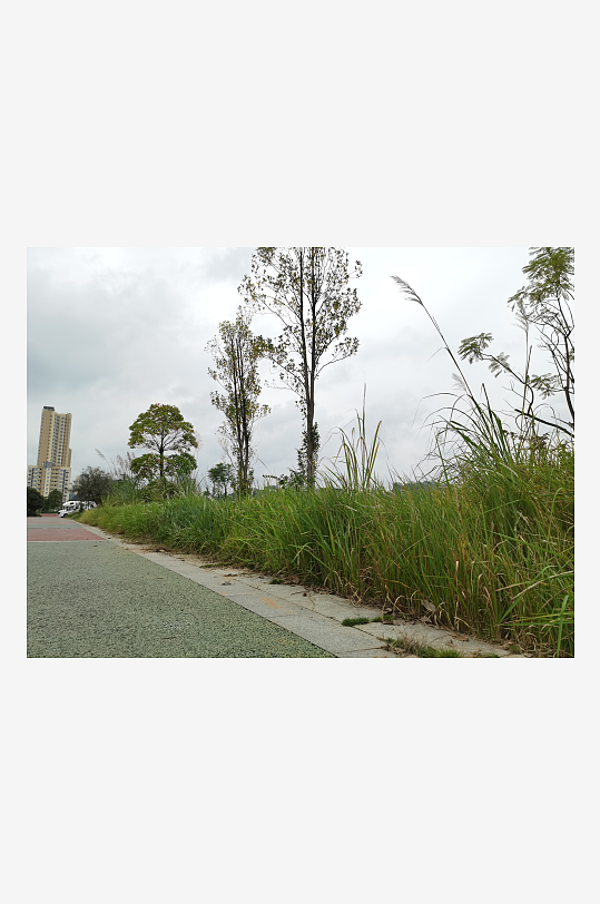 城郊休闲公园场景-众图网