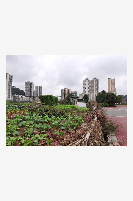 城郊休闲公园场景-众图网