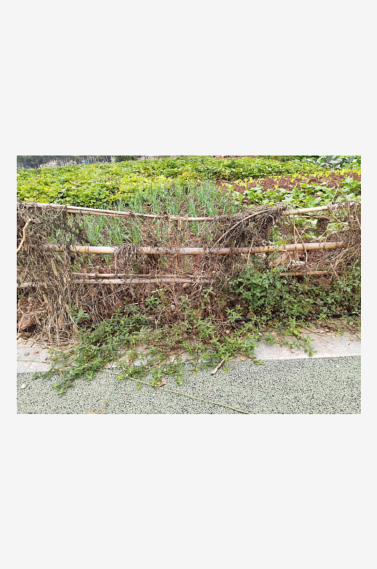 城郊菜地菜园景象-众图网