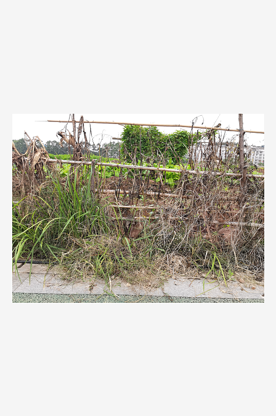 城郊菜地菜园景象-众图网