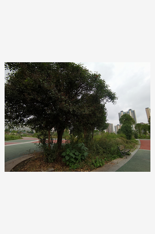 城郊休闲公园场景-众图网