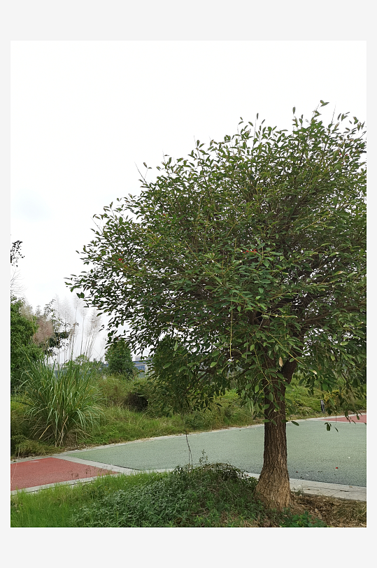 灰暗天空下的城郊风光-众图网