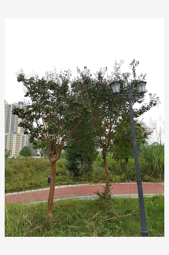 灰暗天空下的城郊风光-众图网