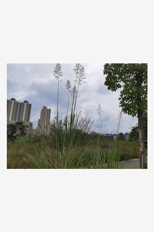 灰暗天空下的城郊风光-众图网