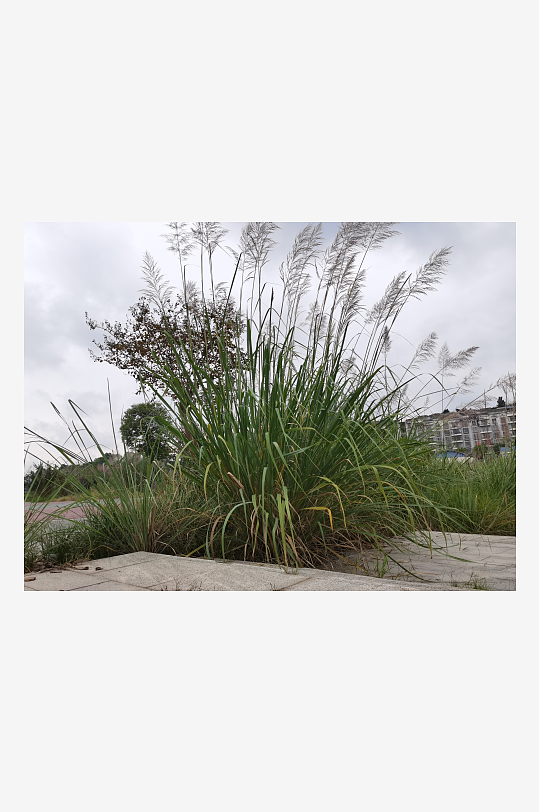 灰暗天空下的城郊风光-众图网