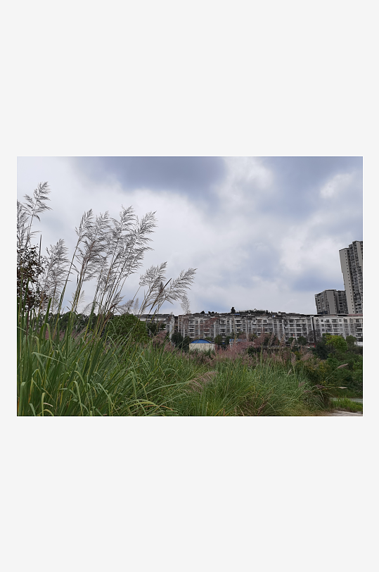 灰暗天空下的城郊风光-众图网