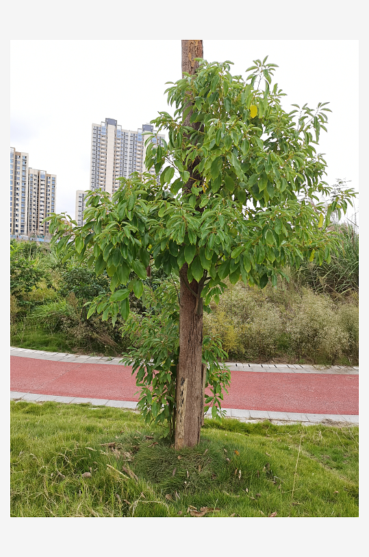 城郊休闲环境自然风光-众图网