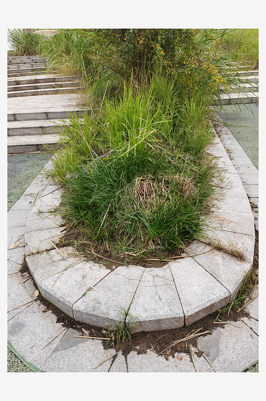 城郊休闲环境自然风光-众图网