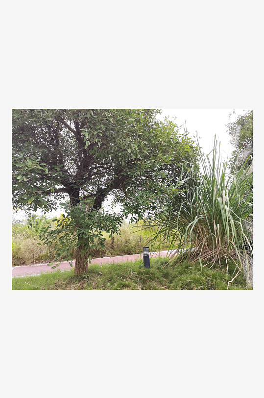 城郊休闲环境自然风光-众图网