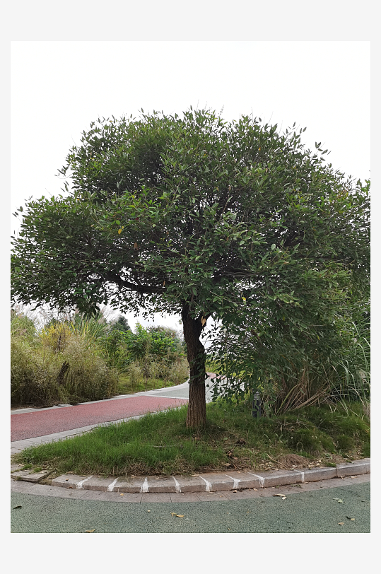 城郊休闲环境自然风光-众图网