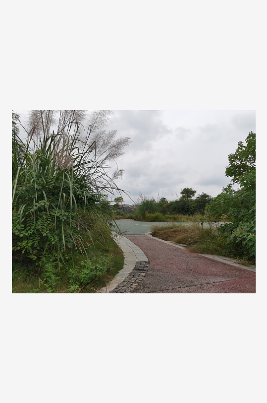 城郊公园休闲环境-众图网