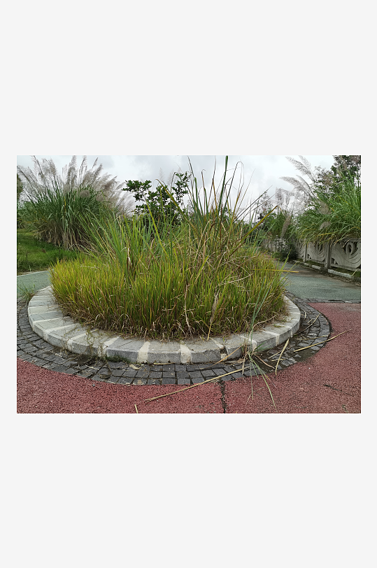 城郊公园休闲环境-众图网