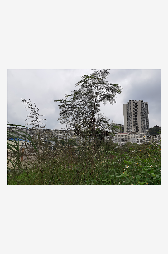 城郊公园休闲环境-众图网