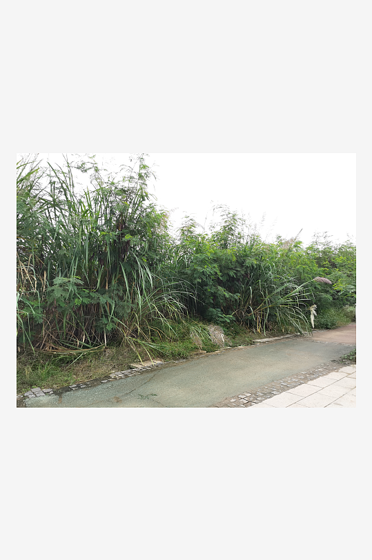 休闲清新的城郊风光-众图网