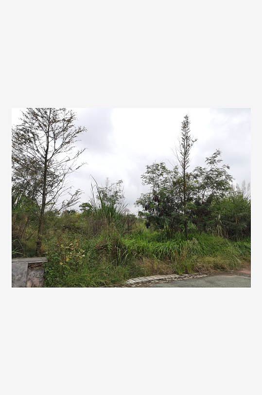 休闲清新的城郊风光-众图网