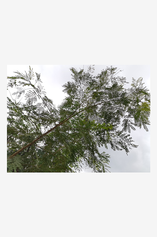 城郊户外休闲场所-众图网