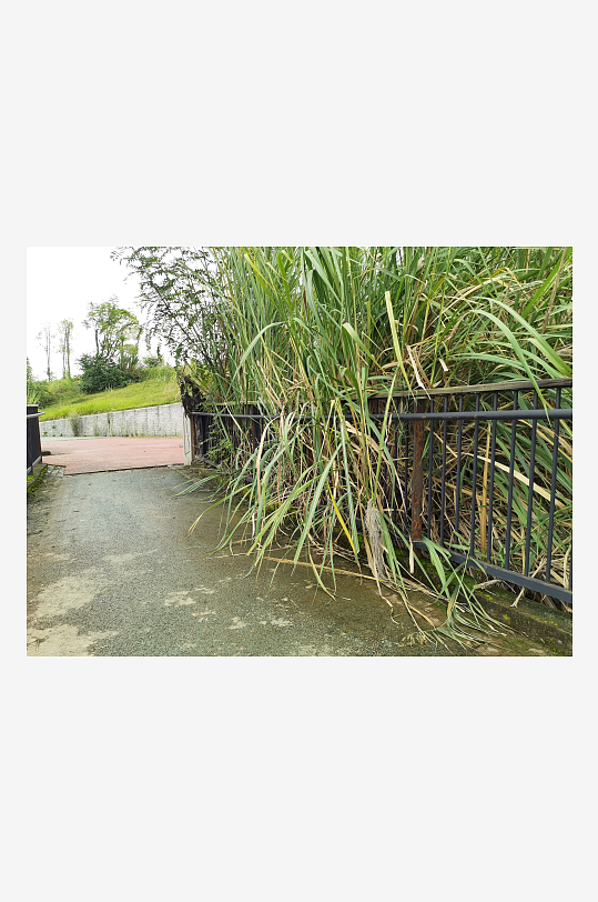 城市河畔休闲栈道风光-众图网