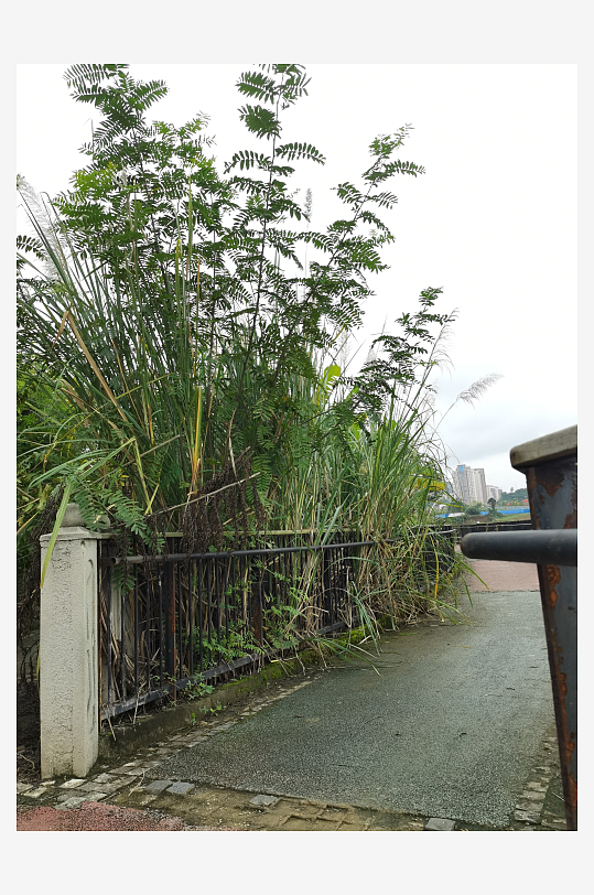 城市河畔休闲栈道风光-众图网