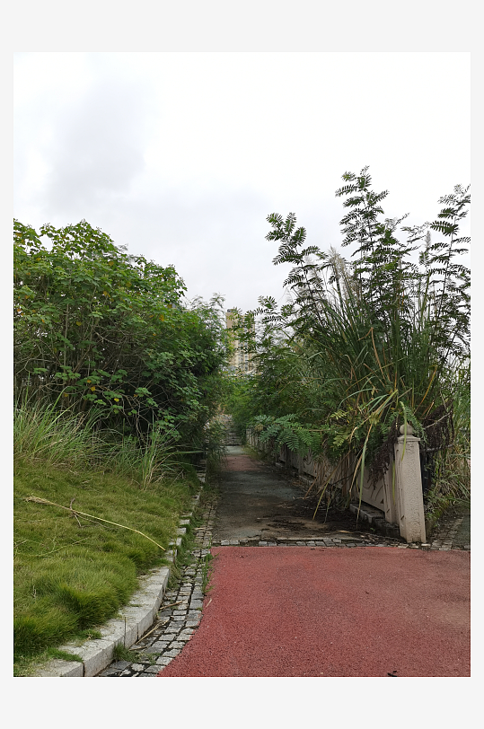 城市河畔休闲栈道风光-众图网