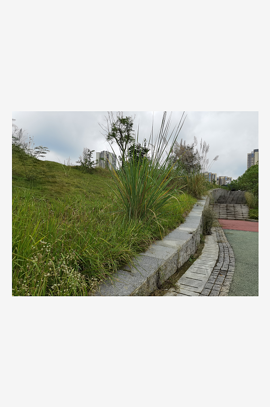 城市河畔休闲栈道风光-众图网