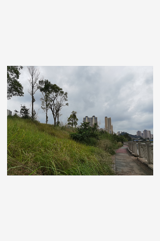 城郊草坪与树木自然风光-众图网