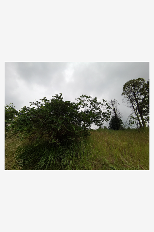 城郊草坪与树木自然风光-众图网