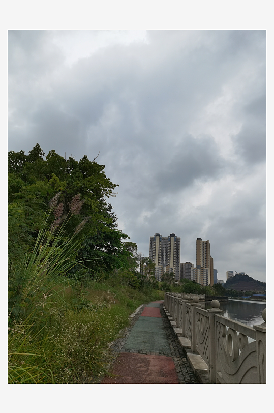 城郊杂草人生的荒芜场景-众图网