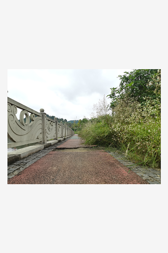 城郊杂草人生的荒芜场景-众图网